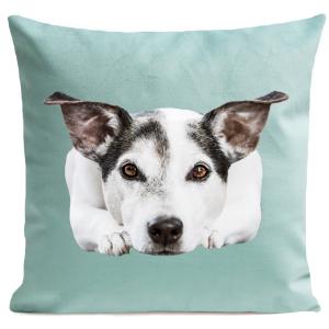 Coussin chien jack russel suédine bleu 40x40cm