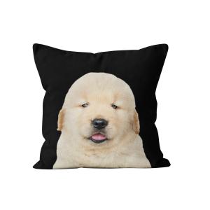 Coussin déco chien Golden Retriever velours noir