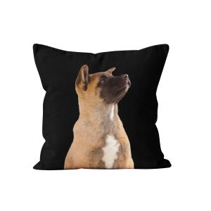 Coussin imprimé chien velours noir