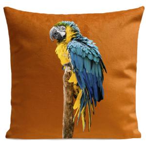 Coussin tropical perroquet velours orange 40x40cm