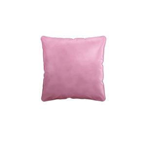 Coussin Velours Dragee