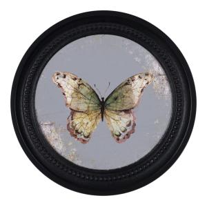 Déco murale encadrée papillon noir 27cm