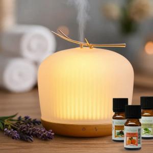 Diffuseur d'Arôme Origin en Verre et Bois FSC   3 Huiles No…