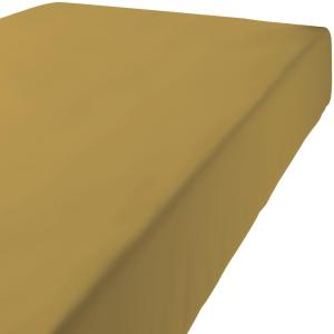 Drap housse coton gold 90x190 cm