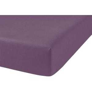Drap housse coton violet 90x190 cm