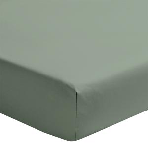 Drap housse uni en percale de coton vert sauge 90x220