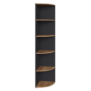 Étagère d’angle Anthracite/Chêne doré 40x180,6 cm