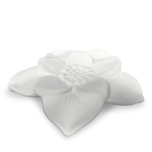 Fleur de rechange pour le diffuseur par capillarité