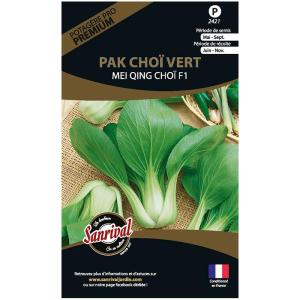 Graines potagères premium pak choï vert