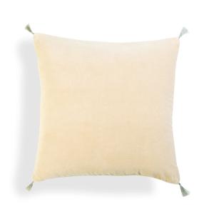 Housse de coussin velours de coton dune 50x50