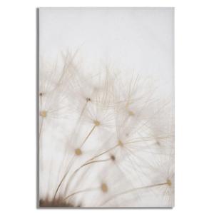 Impression sur toile multicolore fleur 80x3x120  cm