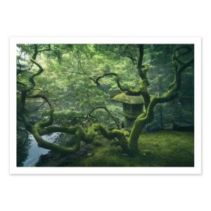 JAPANESE TREE - JAVIER DE LA - Affiche d'art 50 x 70 cm