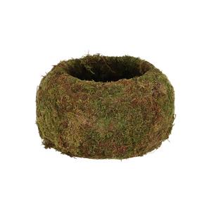 Kokedama boule mousse 15 cm vert