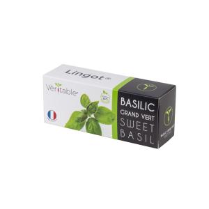 Lingot® Basilic Grand Vert BIO compatible potager Véritable…