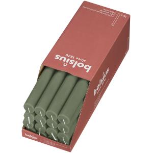 Lot de 16 bougies vert, 27cm