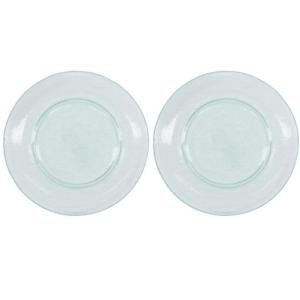 Lot de 2 assiette diam 27 cm Bleu