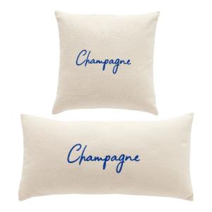 Lot de 2 coussins déhoussables brodés  45x45cm Bleu