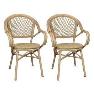 Lot de 2 fauteuils de table en rotin synthétique