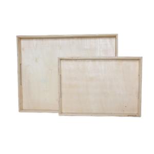 Lot de 2 plateaux  TU Beige