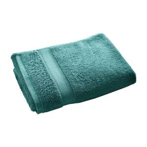 Lot de 2 serviettes de toilette bleue 50x100 en coton