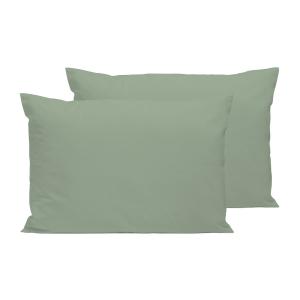 Lot de 2 taies d'oreiller percale de coton sauge 50x75cm