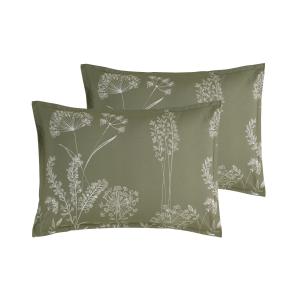 Lot de 2 taies d'oreillers en percale de coto sauge 50x70 cm