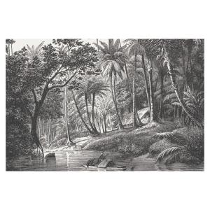 Lot de 4 - Set de table en vinyle gris motif jungle 30x50 cm