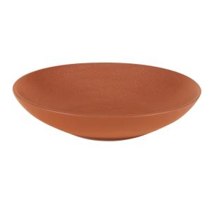 Lot de 6 grande assiettes creuse   terra 25 cm  en grès  or…