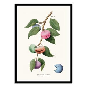 MACARON PLANT - Affiche d'art avec Cadre bois noir - 30 x 4…