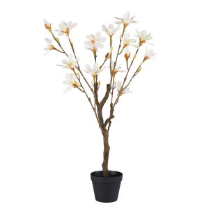 Magnolia artificiel H98