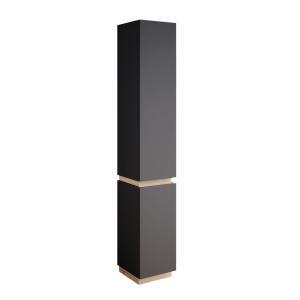 Meuble SDB rangementavec 2 portes Anthracite 33x197.5cm