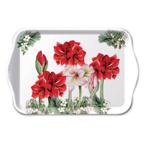 Mini plateau Amaryllis rouge