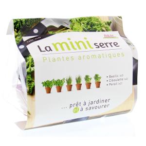 Mini serre herbes aromatiques plastique multicolore