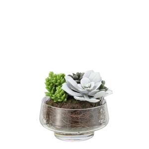 Mix de succulentes artificielle en vase transparent verte H…