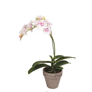 Orchidée dendrobium en pot artificielle blanche et rose pâl…