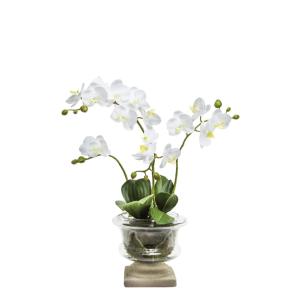 Orchidée en coupe artificielle blanche H58