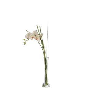 Orchidée en illusion d'eau artificielle crème H60