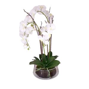 Orchidée en pot artificielle blanche H73