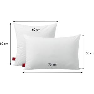 Oreiller duvet et plumettes de canard 65x65 cm