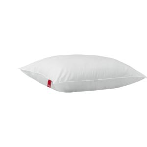 Oreiller moelleux enveloppe coton 50 x 70 cm