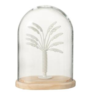 Palmier sous cloche en verre transparent 17x12x22