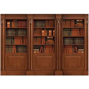 Papier peint adhésif Bibliothèque élégante 245 x 175 cm