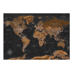 Papier peint carte du monde world: stylish map 350x245 cm