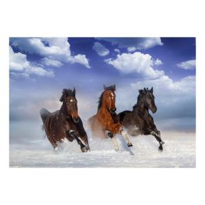 Papier peint chevaux dans la neige 350 x 245 cm