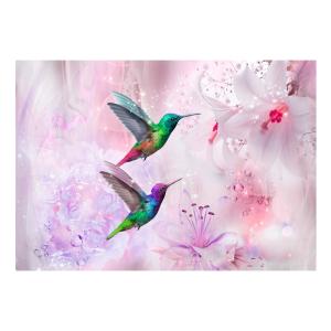 Papier peint colibris colorés violet 350 x 245 cm