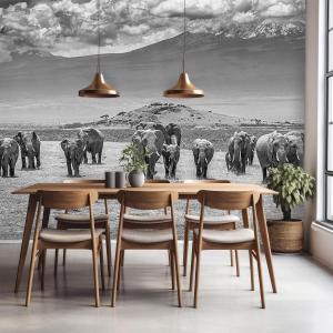 Papier peint éléphants devant le Kilimanjaro 364x270 cm