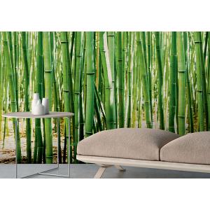 Papier peint intissé les bambous 159x280cm