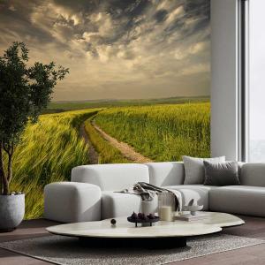 Papier peint les champs verts 364x270 cm