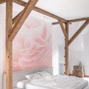 Papier peint panoramique blurry Rose - 170x250 - Rose