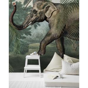 Papier peint panoramique éléphant vert marron 280x200cm